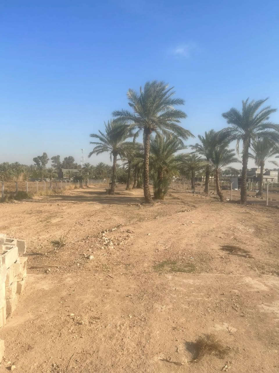 سلام عليكم 
مزرعه للبيع🌾 
المكان بغداد الطيفيه 📍
المساحه دونم ونص 200متر 
مسيج بيرسي واجه بلوك 
الوجه 23ونص 
النزال 188
صنف العقار طابو ملك صرف  
الرقم *********** ابو علي 
***********علي 
متواجد على لانترنت
