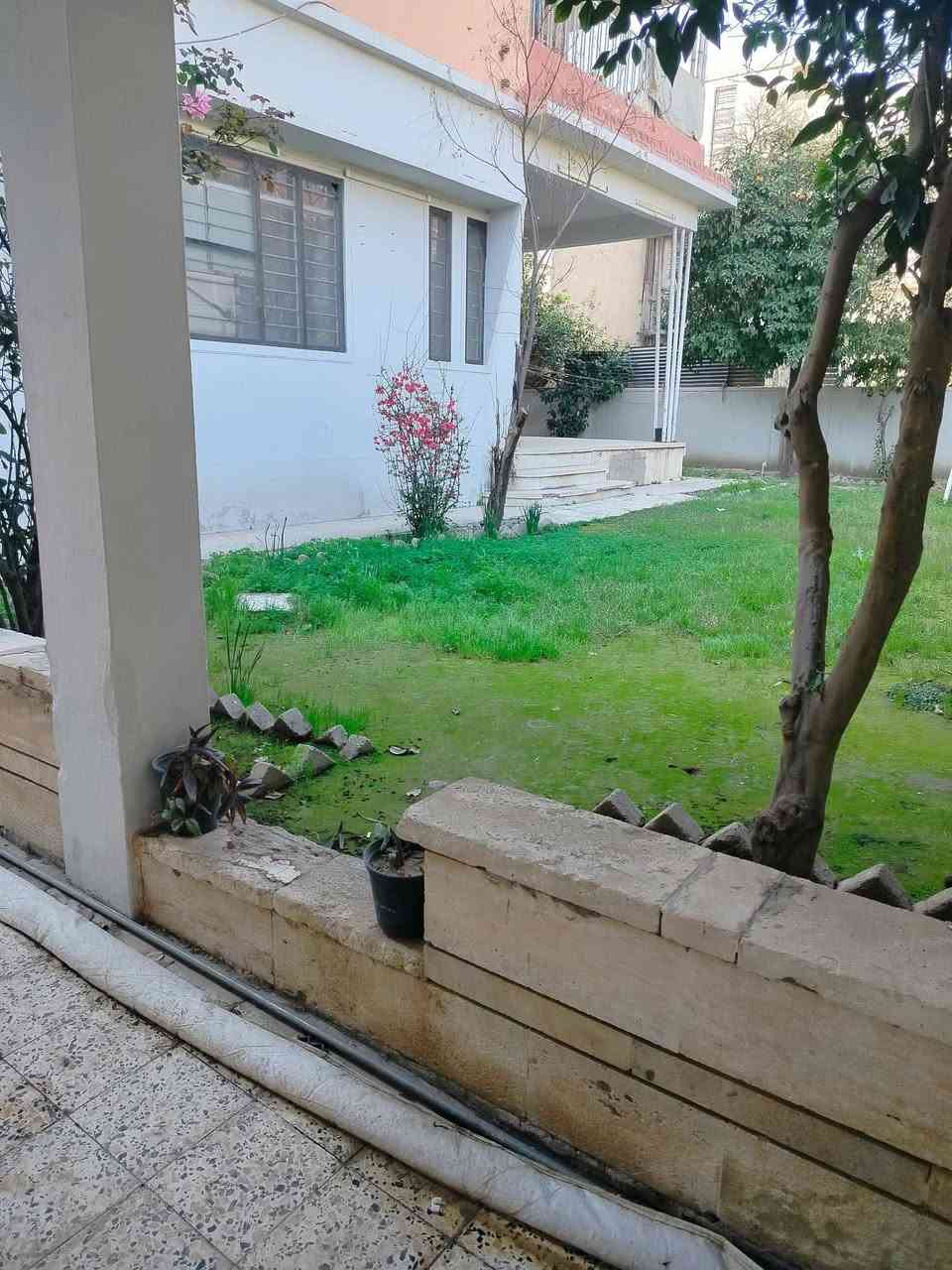 🔴 دار طابق واحد  للأيجار
الموقع  حي الزهور قرب دورة سيدتي الجميله
المساحه 200 متر
يحتوي الدار على غرفتين نوم واستقبال ورهره نظيفه وصحيات وحديقه وكراج
🔴 الإيجار الشهري 400
للاستفسار الاتصال على أحد الأرقام ا☎️***********
☎️***********
