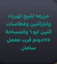 ١٧٥م • قرب معمل سامان • للبيع