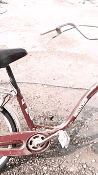 بايسكل • حجم 24 • كوت شهداء