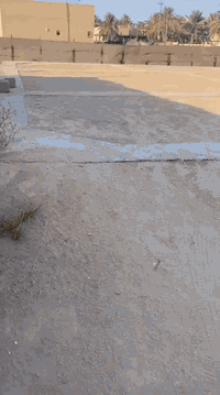 دونم الا 300 متر طابو 25 سند تحويل اسهم باسمك في كربلاء شارع ام ام البنين منطقه طنوبه كافه الخدمات مدرسه متوسطه ابتدائيه مدرسه الثاني ماله العباس مباشره عالشارع للمعلومات اتصال/*********** /***********
