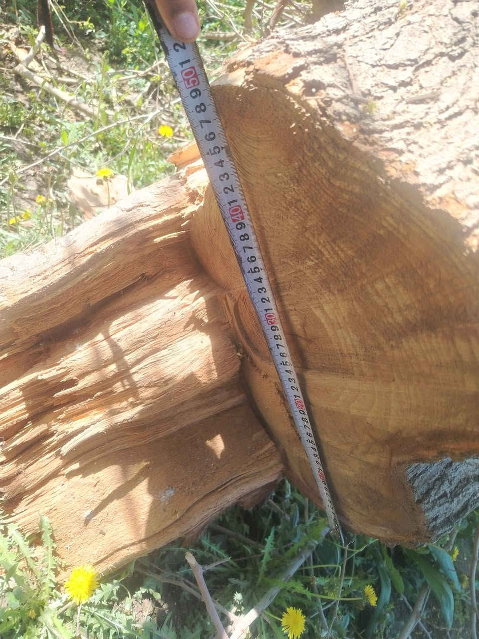 حطب تكي للبيع
الزاب الصباغيه 
ابراهيم ***********
