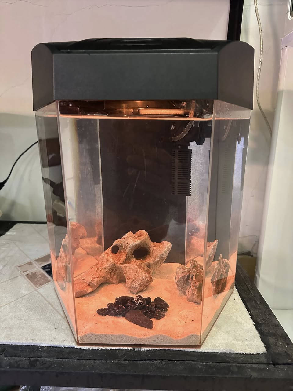 حەوزی شەریكەی ئاركلیك بە شێوەی شەش پاڵوو
فلتەری شەلالی لەگەڵە 
ئۆكسجینیش دابین دەكات
لیدی شەریكەی خۆی لەگەڵە بە شێوەی لەمس  زیاد لە ٧ ڕەنگی تیایە
وە مۆدی گۆڕینی ئۆتۆماتیكی تێدایە ڕەنگەكانی
٢ بەردی كونداری زۆر ڕاقی و تایبەتی لەگەلە
شوێن خواردنی بۆ كراوە بۆ ماسیەكان
بنی لمێكی سپی جوانی لەگەلە
 پشتی باگراوندی ڕەشی لێدراوە
قیاسی بەرزی ٤٠ سم وە تیرە بۆ تیرە ٣٢ سم
تێبینی : حەوزەكە ئەورووپی بەكارهاتووە
_______
ئەوەی ویستی نامە بنێرێت لە واتس ئەپ یا ڤایبەر 
***********
گەیاندنمان تەنھا بۆ ناو سلێمانی ھەیە
