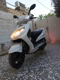سكنس فحل • ياباني • نوزل خطين