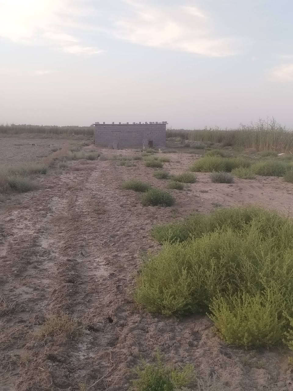 سلام عليكم 6دوانم للبيع علئ بعير طريق ال ساير قرب صيطره متوفر ماي سكي بصفه ربع متر وكهرباء بصفه وتبليط بابه***********
