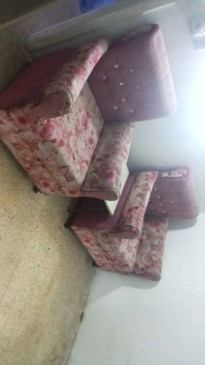 تخم لبيع سعر 60الف مكان سيديه 
*********** بغداد, العراق
