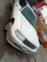 ورحمه الله وبركاته.. راس ثور للبيع رقم بصره سنويه قبل شهر مجدد تحويل.....