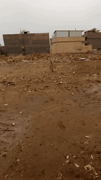 قطعه ارض للبيع المساحه 150متر الواجهه 7ونص و النزال عشرين طابو زراعي س...