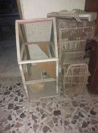 قفص طيور • طيور حب • ابو التمر