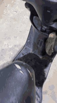 السلام عليكم اكزز للبيع *********** عنواني الكاظمية
