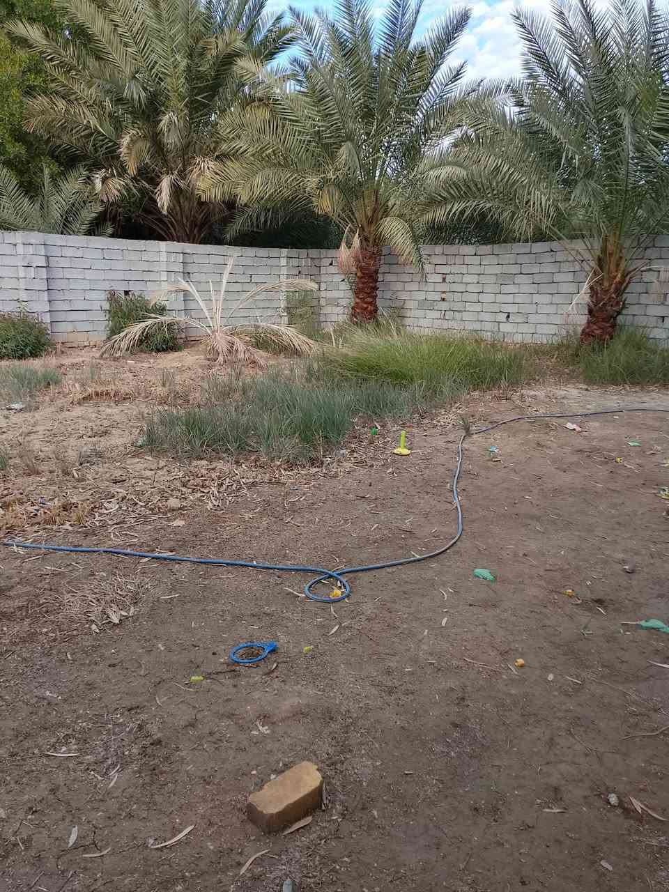 💢السلام عليكم
🧾 قطعه للبيع طابوو زراعي سند 25♦️✨♦️

العنوان وراء عمارات الزيتون ♦️♦️♦️♦️

قريب عالشارع العام الثالث بيت🌹🌹🌹
     (متوفره كافة الخدمات) 🌹♦️✨🌹

📏المساحه 300 الواجهه 17ونص 🌹🌹🌹 نزالها 19 ونص ✨

 مرقمه من البلديه مكانها كلش حلو بالبدايه اول ما تطب عمارات ♦️

الزيتون ثاني بيت عن الشارع ✨✨ سعره خاص كلش حلو ♦️🌹
 
 #يباعن كلهن #موقع كلش يخبل بيه نخل سته نخلات🌹🌹🌹♦️🌹

#ارض  حق التصرف مسيج بلوك وكامل♦️♦️✨✨

#سند 25 تحويل مباشر بأسم المشتري 🌹🌹🌹🌹

🔹🔸🔹🔸🔹🔸🔹🔸🔹🔸🔹🔸🔹

#للاستفسار اكثر الاتصال على الارقام 

☎️هاتف:- ***********

☎️هاتف:- ***********
