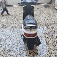 فراشه • شغاله • ما عايزه
