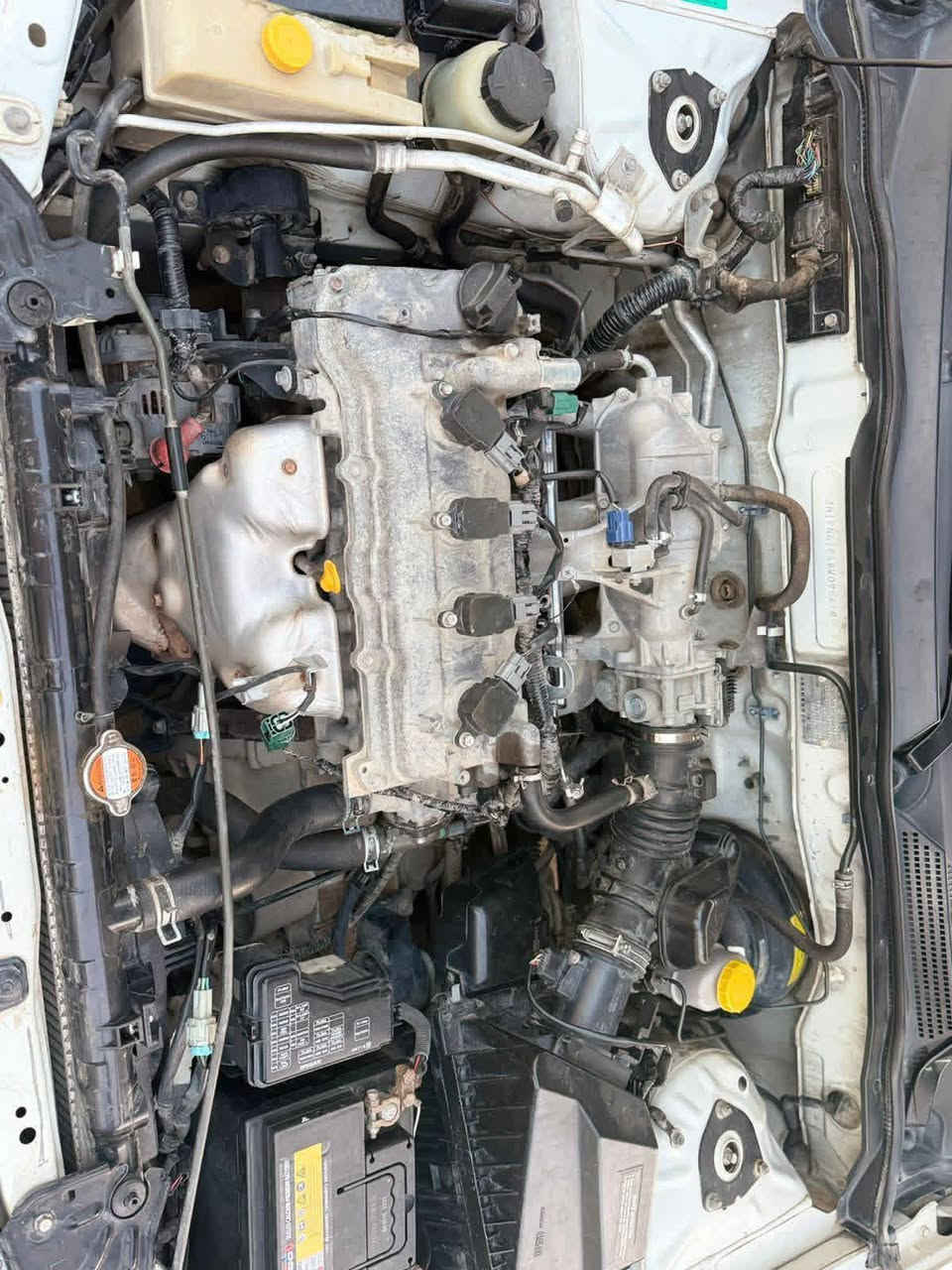 السلام عليكم للبيع
نيسان سني ياباني 2008 رقم بغداد شرط التحويل. 
بيها الجاملغ الأمامي وشبر بلباب بدون دواخل. كير محرك مكفول تخم تاير صدر كله جديد مابيها اي نقص 
السعر 95ومجاال بسيط 
مكان السياره صلاح الدين قضاء الضلوعيه 
***********
