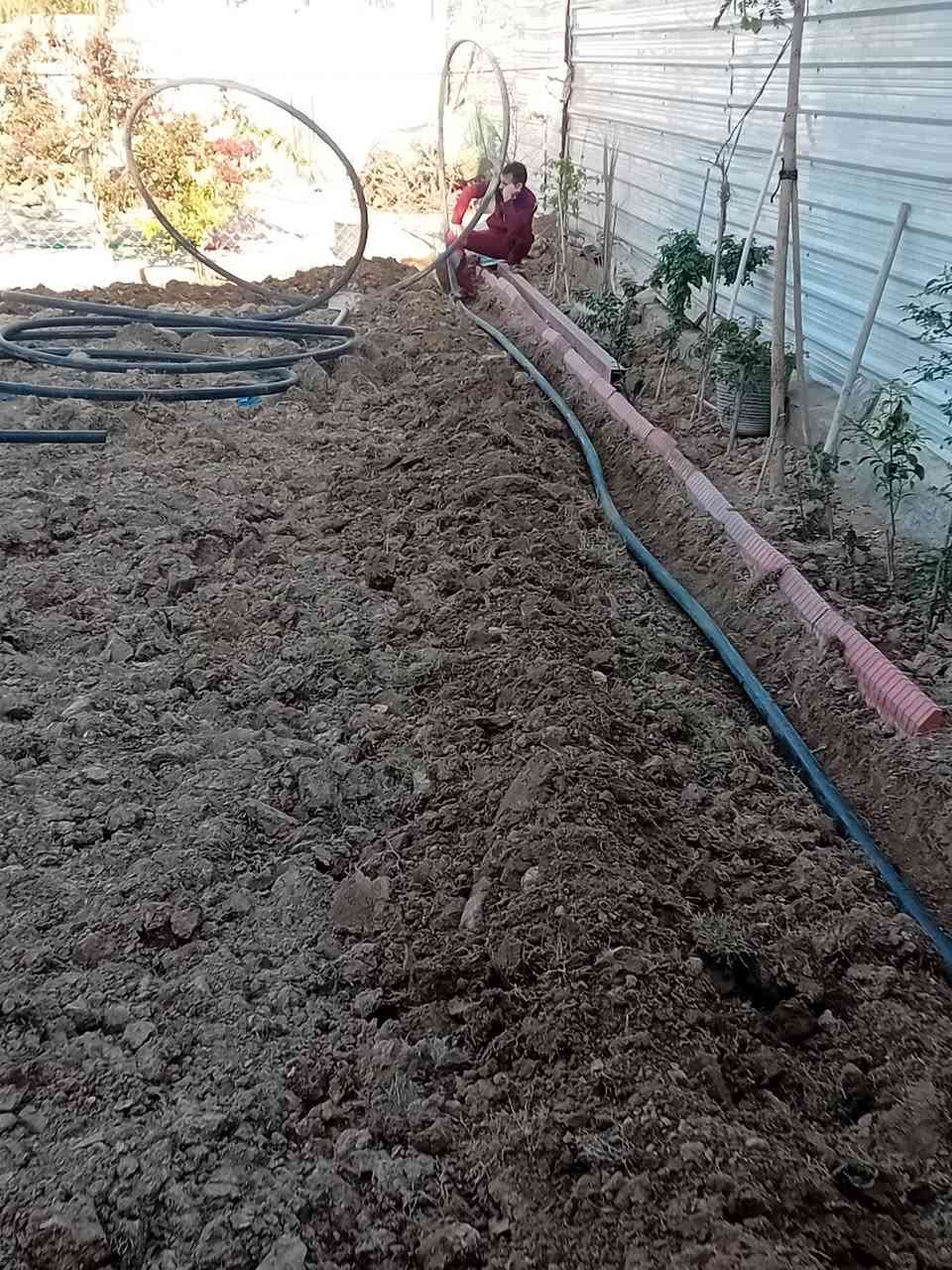 علي الفلاح ***********
