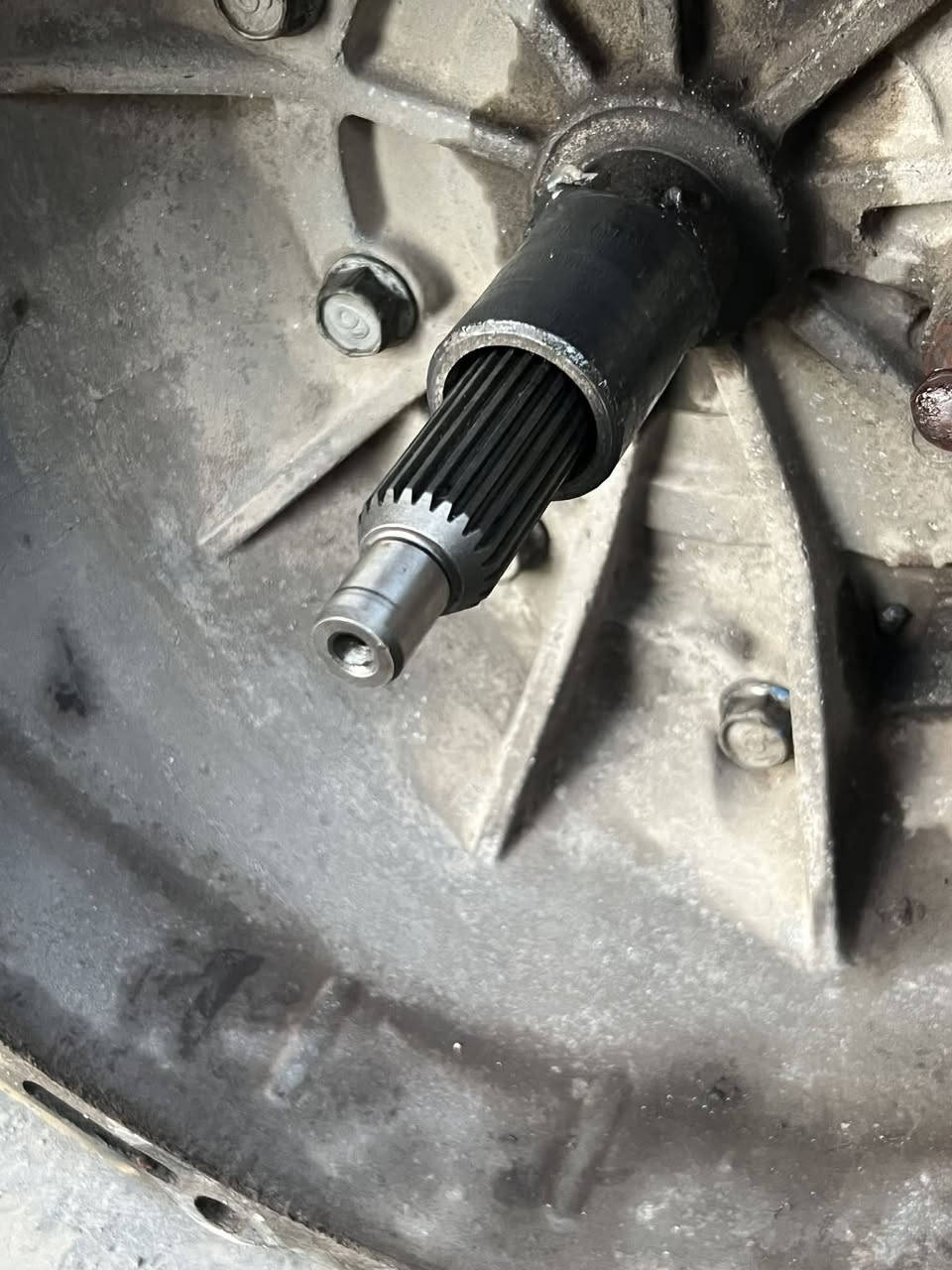 سلام عليكم كير فحل 4000مال كصه للبيع سعر 500وبي مجال اليريدة يتصل ***********
