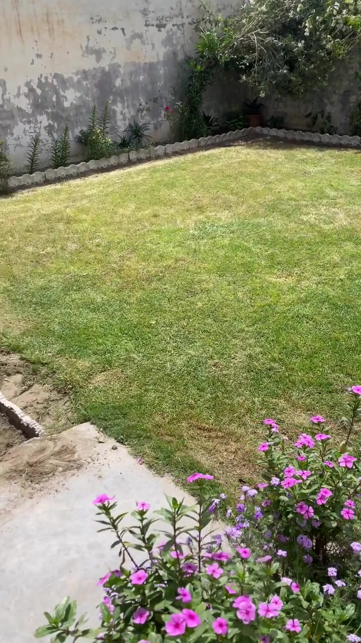 اني فلاح انضف حدائق وزرع ثيل وترتيب مكاني بابل حله ***********
