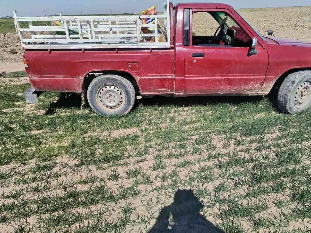 إسلام عليكم بكم لبيع مراوس بقماره انطي فرق مسجله رقم صلاح الدين شرط تحويل كير محرك اكسن شرط لايت عالي ناصي تواير جديد سياره خير من الله شغل وين تريد روح بيه ***********
