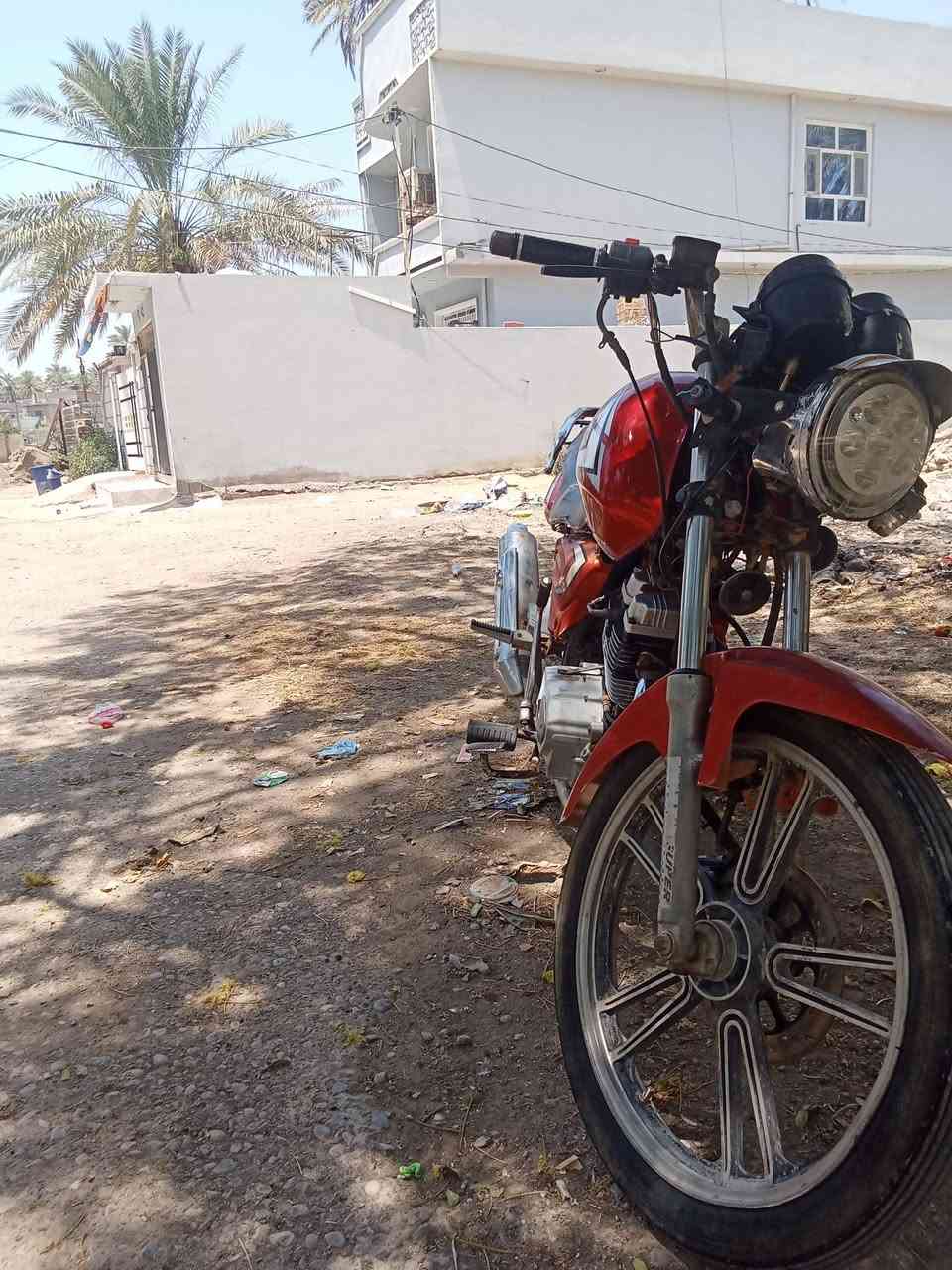 السلام عليكم جني باندا للبيع بعقوبه جسر خرنابات السعر 250 للأستفسار ***********
