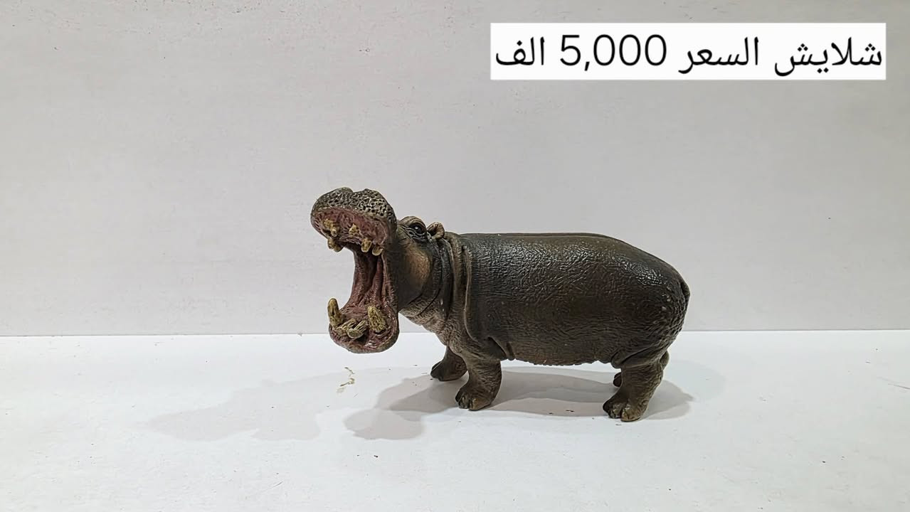 السلام عليكم
مجموهة حيوانات شلايش للبيع
كل قطعة موجود سعرها على الصوره
موجود توصيل بغداد فقط
للحجز المراسله على الواتساب ***********

