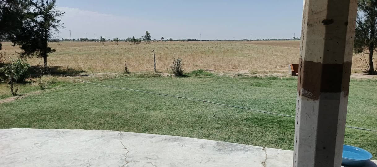 سلام عليكم كاع زراعي ٥ دوانم وبيت كامل  البيع في جريت الخزيفي مغابل جامع الخزيفي واصله مي وكهرباء وهاذ رقمي وحياكم الله سعر ٧٥ ***********
