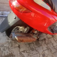 فراشه فحل • مامفتوح • ناعمه