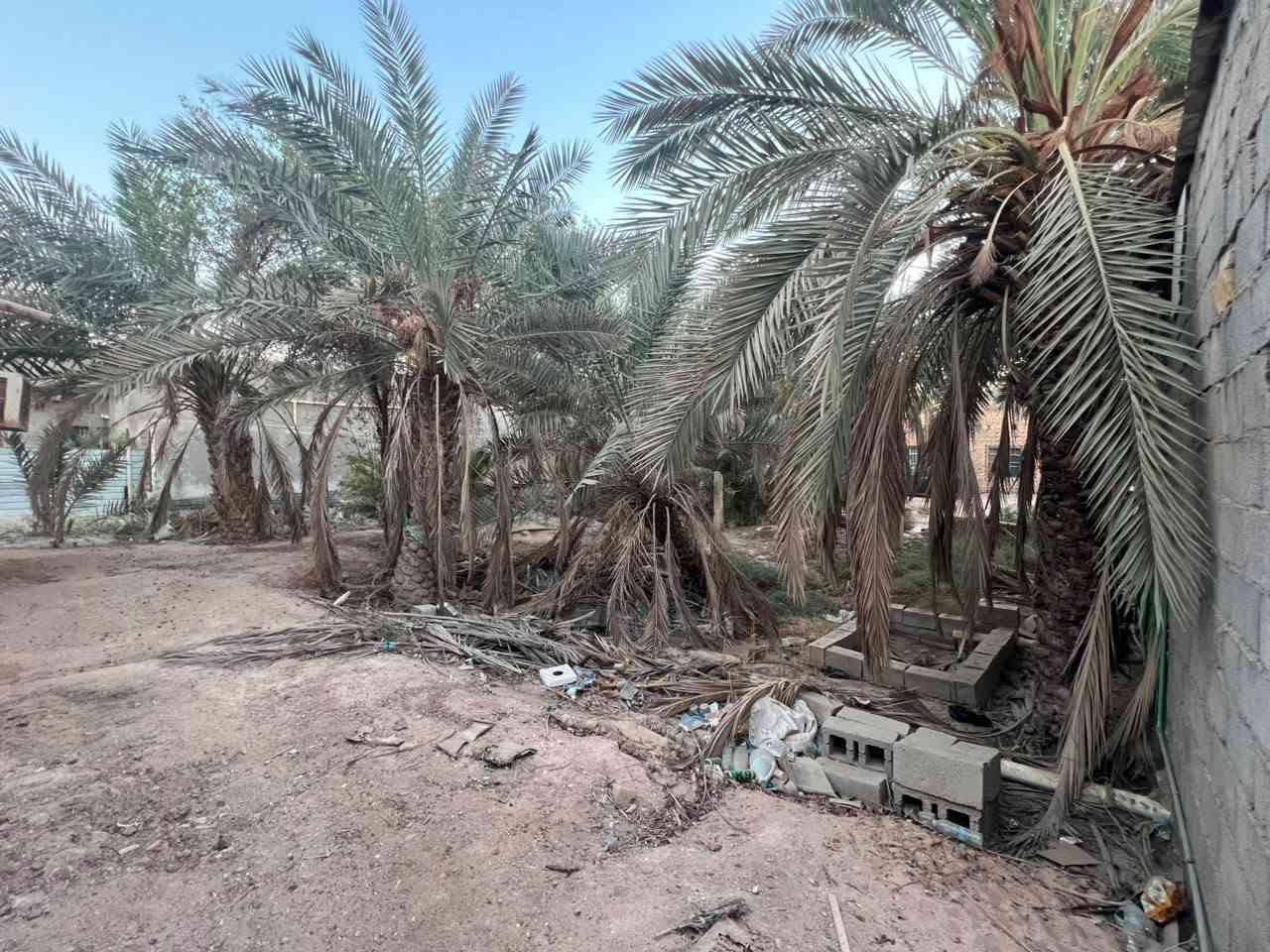 قطعه ارض طابو صرف زراعي سند 25
مساحه دونم 
موقع جيكور تقاطع الميناء بل ضبط موقع تجاري 
واجهيه 33
نزال جه 82 
اوجه الثانيه 76
ضهر القطعه علئ نهر متصل بل شط مباشر
تحتوي علئ بيوت عدد2
الاول 5غرف او صاله او مطبخ او ديوان او حمامات داخليه او خارجيه
الثاني 
غرفتين او مطبخ او صاله او حمامات
تحتوي القطعه عله 25_28نخله برحي***********
