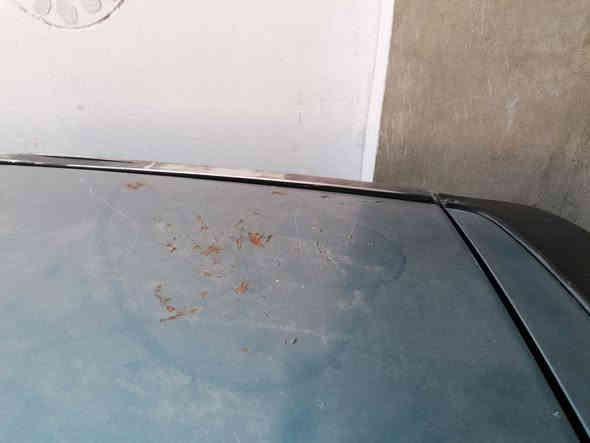 استرا حجم 20 موديل 93 بسمي ***********
