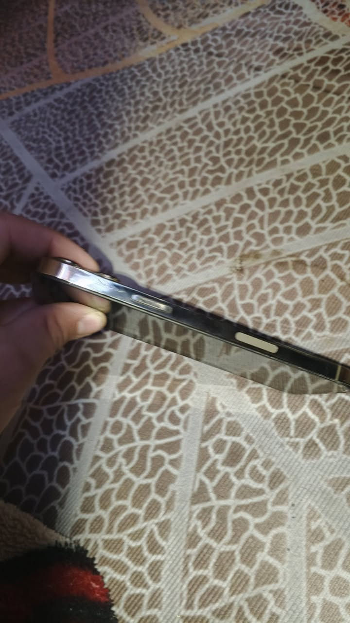 السلام عليكم من رخصة الادمن
متوووفر للبيع
              
📱ايفون 13 برو ماكس
💾 ذاكرة 256
🔋 نسبه البطارية 90
📞 تك سيم كارت
فول نضافه شرط مامفتوح ولا بي شخط 
السعر 700 قفل والمفتاح راح بل ماي 
الشراي يتفضل خاص لو تصل ويدلل محضور من تعاليق
‏ ***********
