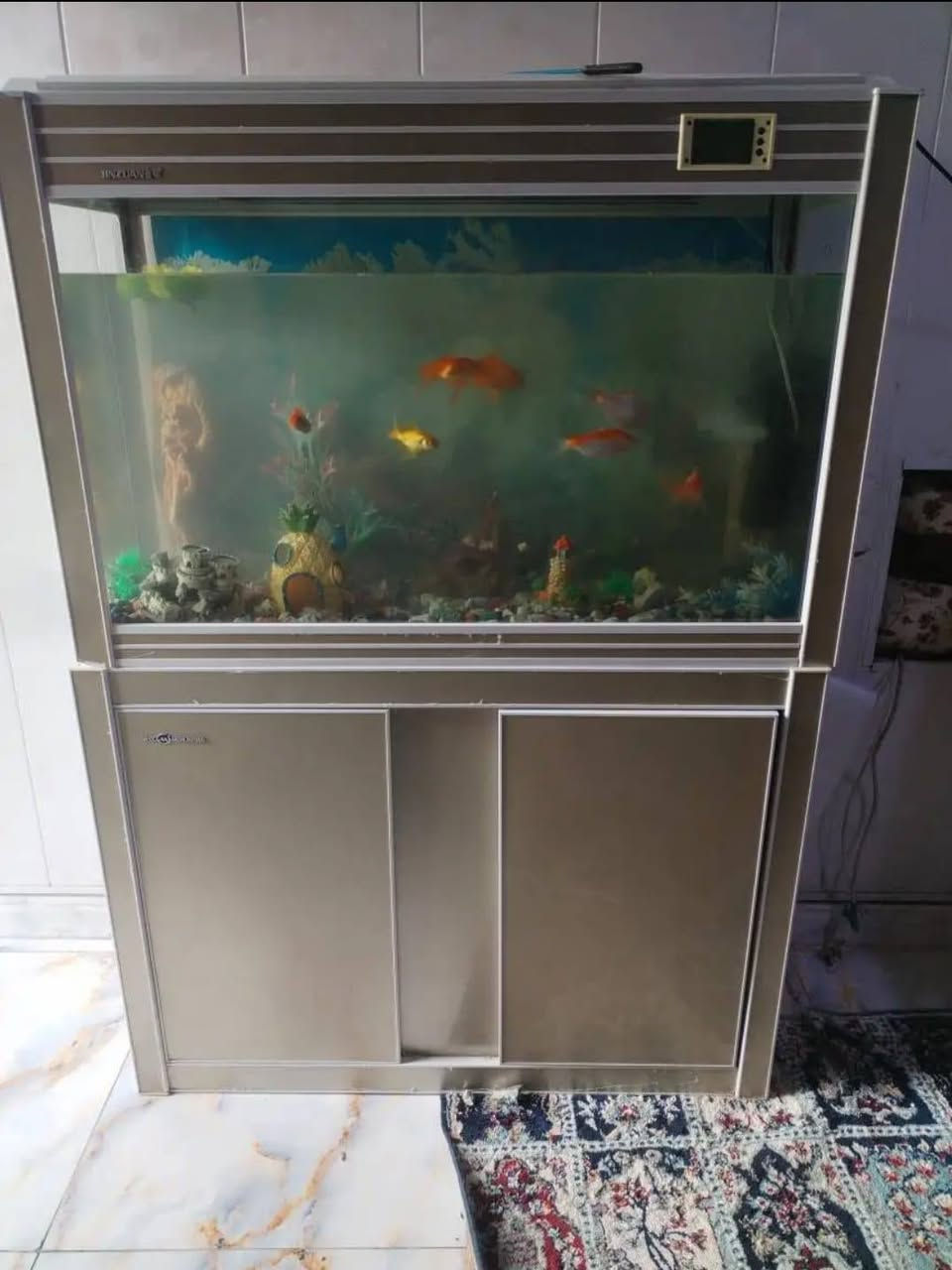 غراض للبيع كلمن وسعره للاتصال ع *********** كركوك, العراق
