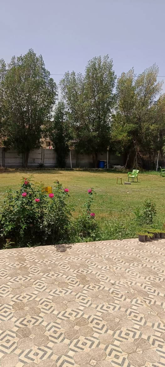 السلام عليكم مكلف بل نشر بيت مع الحديقه المساحه 700اصلاح زراعي 
للبيع حي العسكري عل روائي قرب الساده البخطه السعر سبعين مليون وبي مجال  ملاحضه البيت اصلاح زرعي بدون سند ***********
