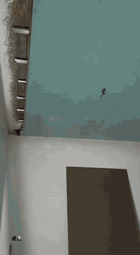 السلام وعليكم شغل سقف ثانوي جبس تغليف جدار ديكورات الاستفسار 
***********
واتساب ***********
@إشارة
