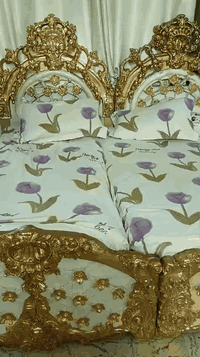 جربايات مصريه العدد 2 وحده بها ضرر وضرر بالتاج من الخلف بفطر بس رايد لمعجون  عنوان بغداد بارك السعدون ***********
