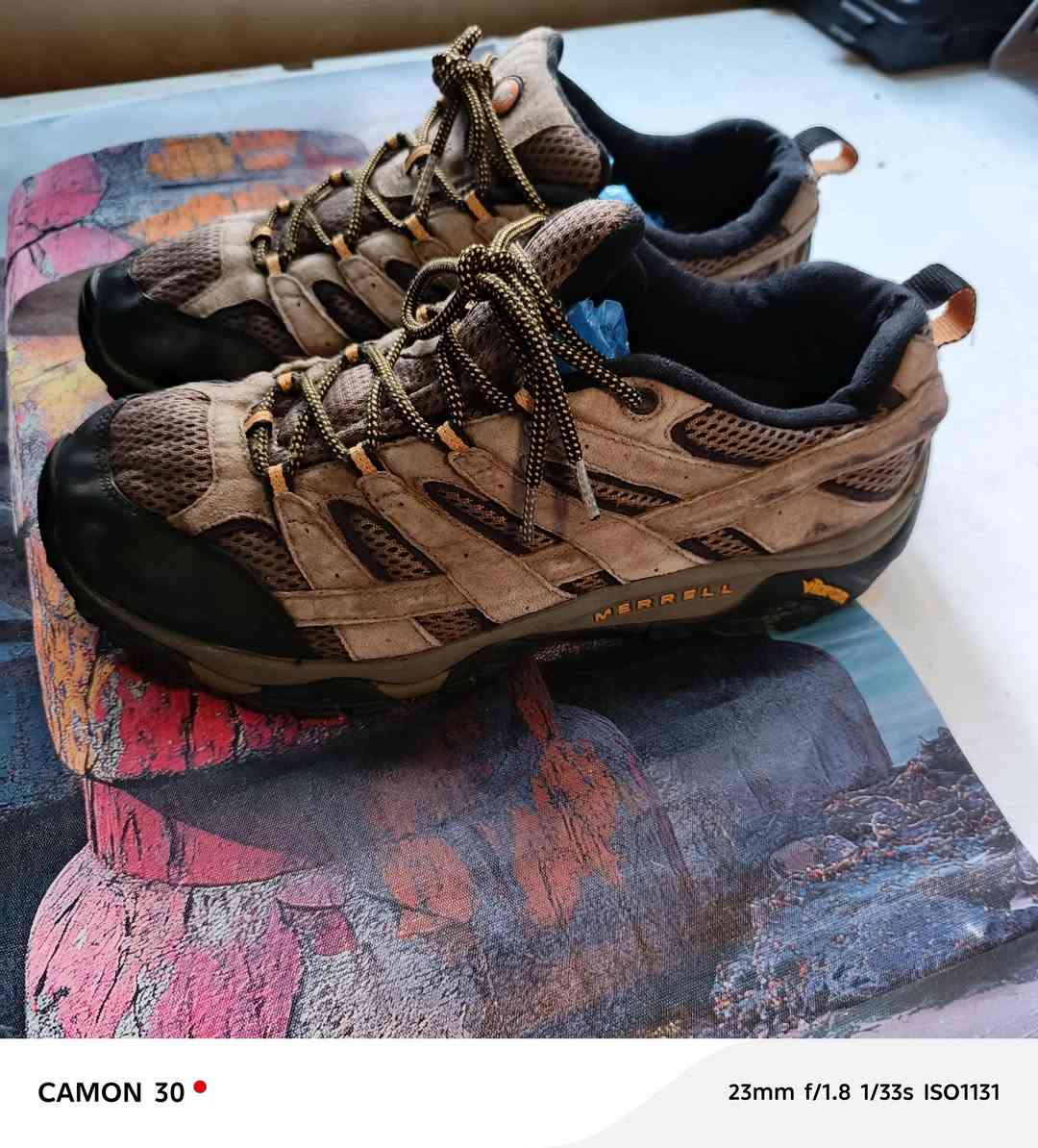 حذاء ميريل مواب (Merrell Moab) الشهير للمشي لمسافات طويلة، والمصمم لتوفير الراحة والمتانة  امريكي اصلي اصلي ٤٤  +٤٥


**إذا كنت صاحب هذا الإعلان وتريد حذفه لأي سبب، رجاءا أرسل رسالة إلى الدعم الفني**