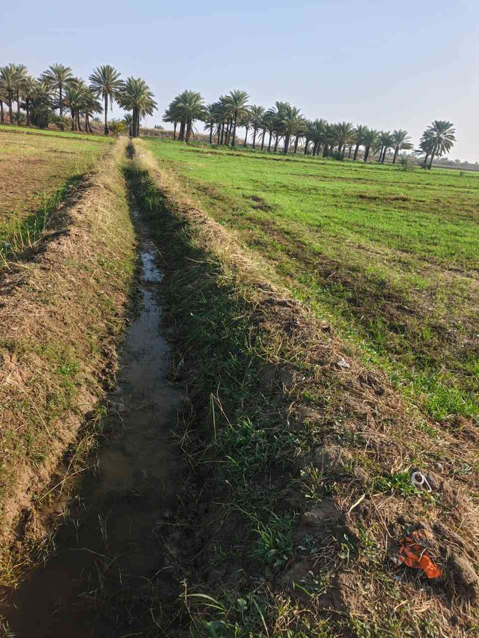 يعلن مكتب اليرموك للعقار العنوان الانبار عن توفر قطع
في ناحية اليرموك (زنكورة ) طابو زراعي سند25 تحويل مباشر تتوفر جميع الخدمات بمساحات متعددة حسب الطلب بمساحات مختلفه 
١. ثلاثة دوانم سعر دونم 20
٢. خمسة دوانم سعر دونم 20
5 عشرة دونم سعر دونم 20 
2030 دونم سعر دونم 10
90 دونم سعر دونم 13
80 دونم سعر دونم 12
60 دونم سعر دونم 15
40 دونم سعر دونم 15
تتوفر جميع الخدمات 
 للأتصال والاستفسار 
حجي مصطفى خليل 
***********
