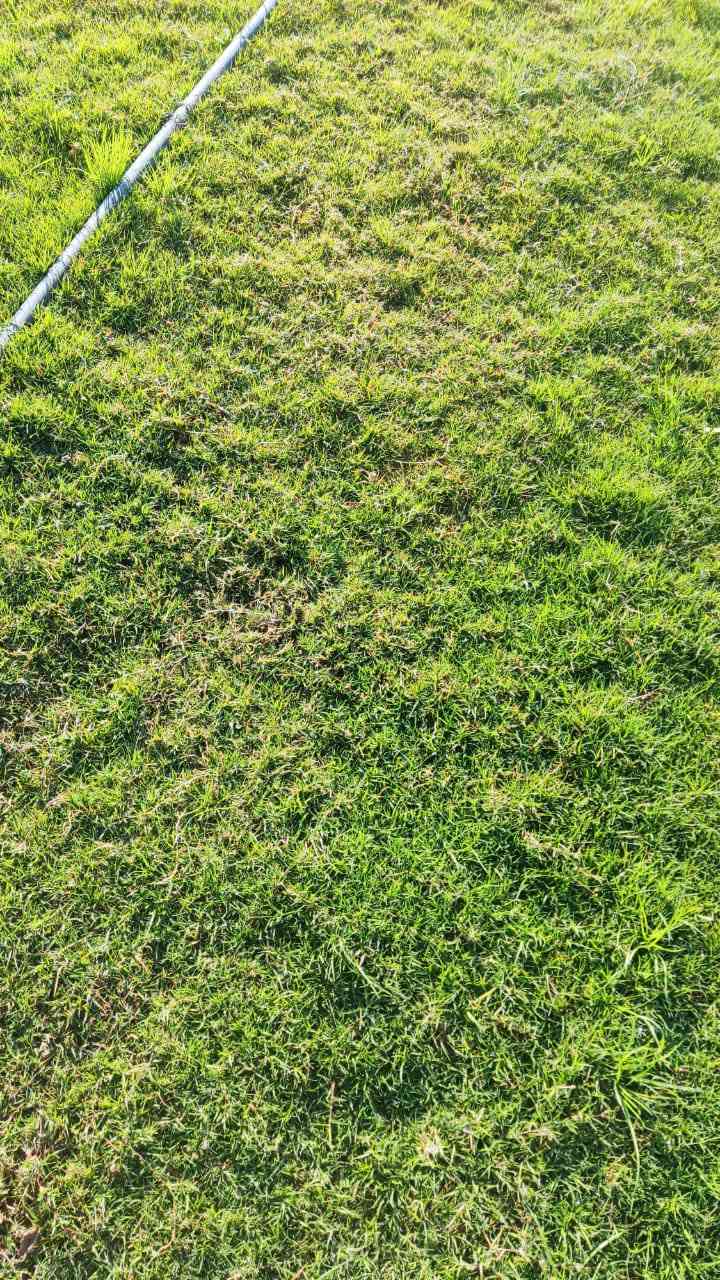 ‏إعلان فيسبوك
‏عرض التفاصيل
سعر لقطعه مع توصيل 35 الف سعر ثابت بدون عمله


**إذا كنت صاحب هذا الإعلان وتريد حذفه لأي سبب، رجاءا أرسل رسالة إلى الدعم الفني**