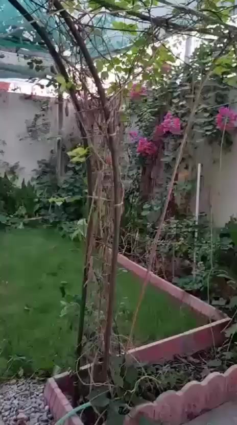 ﷽.متوفر منزل طابقين للبيع الامل 2
قرب البوابة مقابل السياج الرئيسي 
شارع عريض جدا الزون 2 بلوك 2
المساحة 250 متر  
استقبال وصالتين معيشة 
4 غرف نوم  4 حمامات 
الحديقة مزروعة بالكامل 
قمرية كراج  كيسيبان
سبالت نوع گري عدد 8 
البيت جاهز للسكن البيت 
للاستفسار ☎️ ***********
