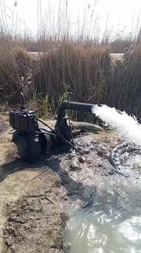 ماطور جاھز شغال ١٠ حصان لل استفسار اتصل ٠٧٨٧٥٦٤٦٨٧٩ السعر ٤٠٠