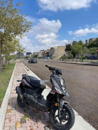 سكنس جبلي • صيني • مفتوحة