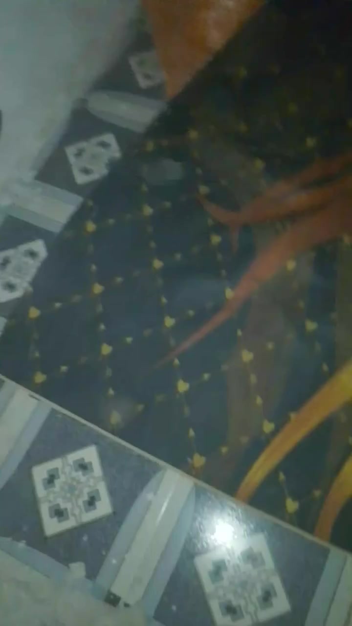 لبيع ب10


**إذا كنت صاحب هذا الإعلان وتريد حذفه لأي سبب، رجاءا أرسل رسالة إلى الدعم الفني**