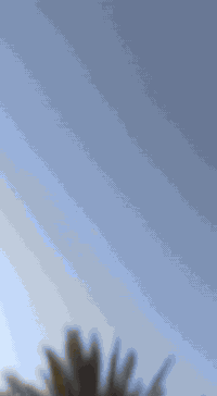 البيع بيت مساحه 820متر متكون من ثلاثه غرف نوم مطبخ وصاله واستقبال سند 17 زراعي الموقع خلف المحطه النيل ***********
