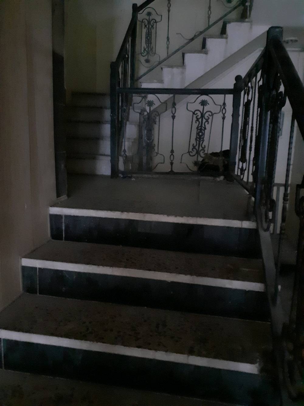 شقه للايجار في كراده داخل اول فرع بعد ساحه كهرمانه طابق رابع بعمارة عصر حمرابي ٥٠متر صاله وغرفة نوم وحمام ومطبخ ***********ابومصطفى