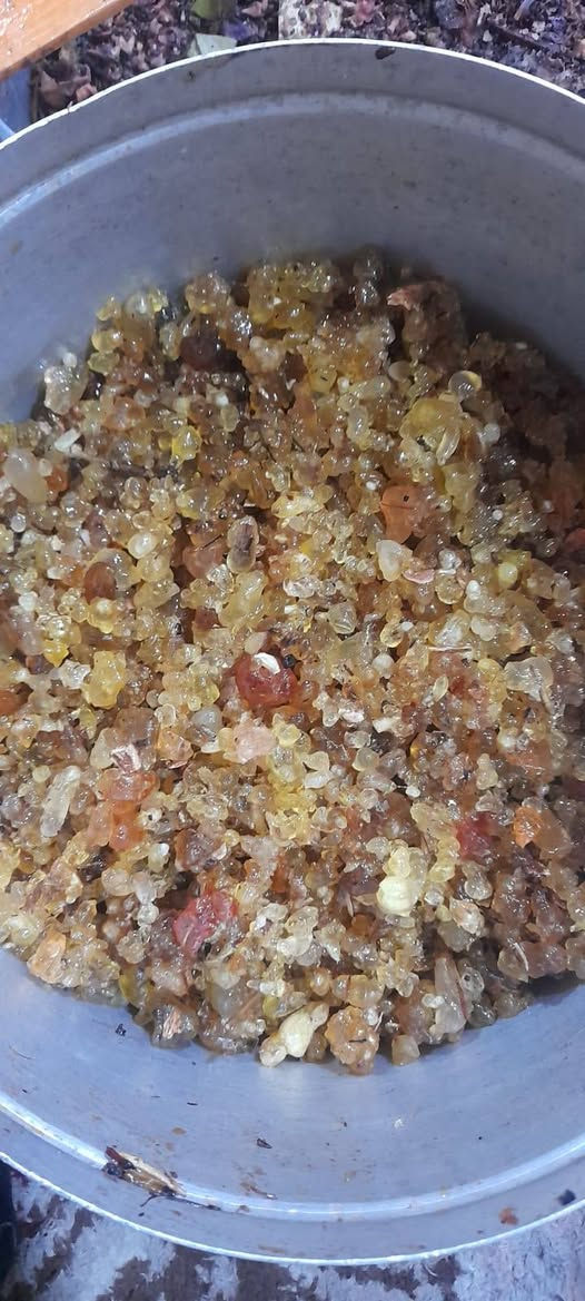 عود ميلانو للبخور والعطور يقدم لكم انواع الخشب البخور
نقدم لكم اجمل وأجود أنواع البخورات 

كل ما هو مميز و نادر و جميل ...

اصاله البخور تعبر عن نفسها ...

أجمل بخور تقدمه لبيتك ولنفسك ... 

بخورات وعطور تستحق الإقتناء...

للاستفسار والتواصل 

 ***********

واحذروا التقليد ❌
#عود ميلانو #للبخور والعطور 

يتواجد لدينا خدمة التوصيل لكل العراق  والمحافظات بسرعة عالية
