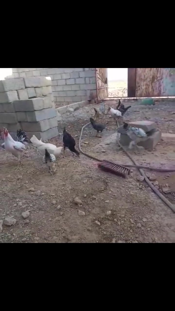 للبيع ***********
