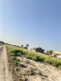 ارض زراعي • الدورة • هور رجب