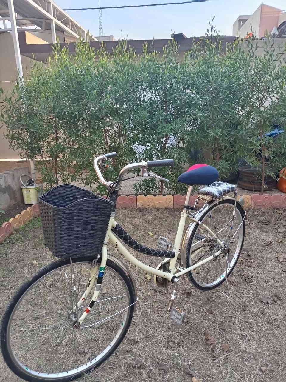 اسلام عليكم باستكل للبيع عبد الحليم حجم26 نضافه80باستكل جاهز ااسعر65 اوبي مجال الرقم ***********
