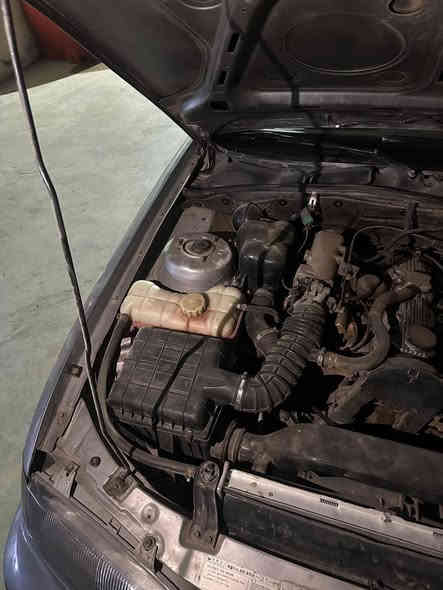 السلام عليكم برنس موديل 95 السعر 35 وبيهة مجال ***********
