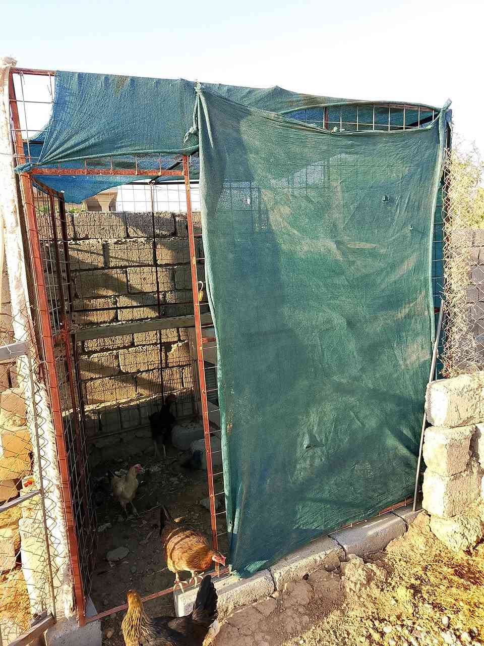 قفص للبيع عرض مترين طول مترين ارتفاع مترين مضروب سيم بي أرسي منكل الجهات قفص جاهز شلمانو زاوية قوي السعر 125 قفل ***********
