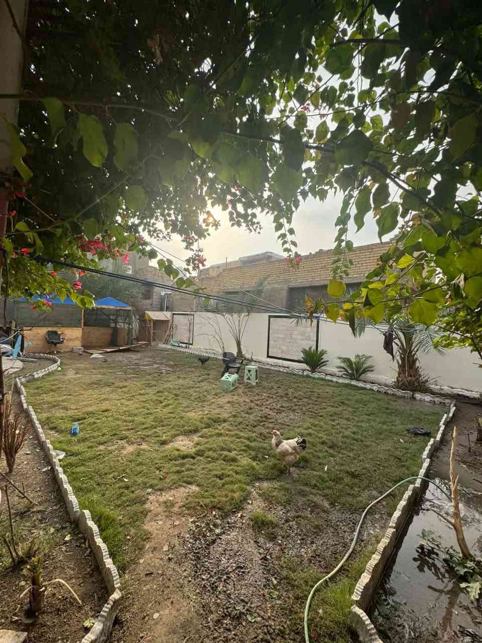 بيت للبيع تفاصيله داخل صورة


**إذا كنت صاحب هذا الإعلان وتريد حذفه لأي سبب، رجاءا أرسل رسالة إلى الدعم الفني**