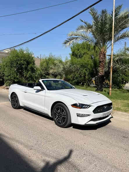 السلام عليكم 
موستنك موديل ٢٠٢٣ لون ابيض 
 فول مواصفات قماره كشف 🏎️
محرك 4 سلندر توربو  و كشنات كهربائية وتحكم ستيرن و شاشة +كامره خلفيه 
حادثها بسيط بدون ايرباك 
صبغ بيها بس راس البنيد ورأس الجاملغ 
العنوان : بغداد -  السيديه 
رقم تلفوني للاستفسار واتساب 
***********‬
سعرها ١٨٥
ترهم مراوس
