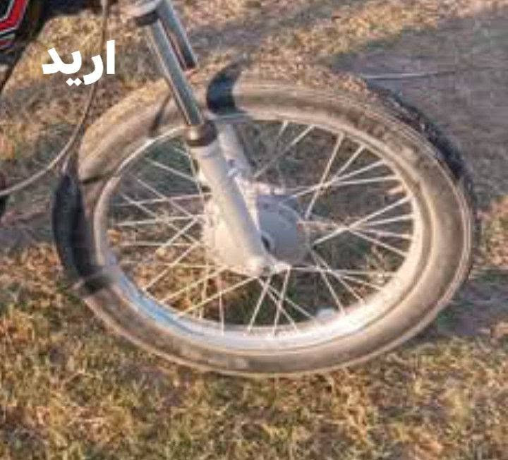 سلام عليكم ورحمة الله اريد مراوس اذا اكو


**إذا كنت صاحب هذا الإعلان وتريد حذفه لأي سبب، رجاءا أرسل رسالة إلى الدعم الفني**